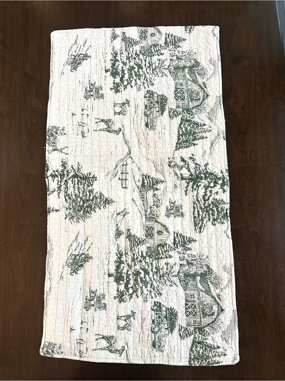 Quilted Winter Christmas Holiday Toile Cream & Green King Sham EUC